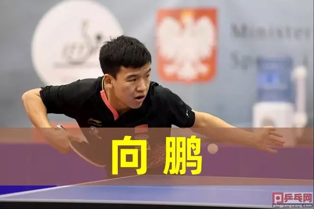 还关注老年 还关注老年